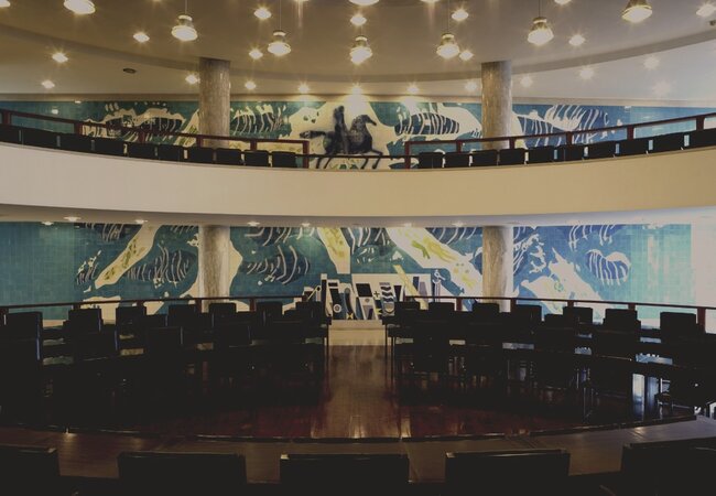 Assembleia Municipal