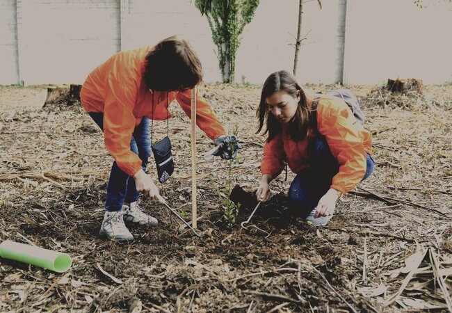 S. Mamede de Infesta mais verde