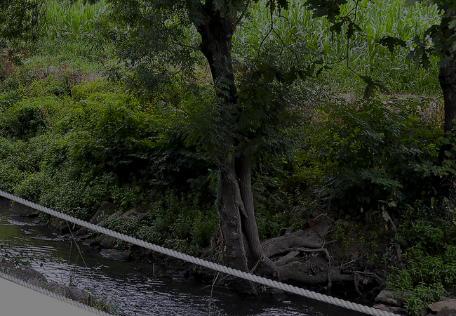 Corredor Verde do Leça 