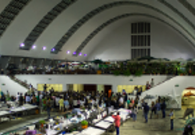 Regresso do Moontosinhos em força!