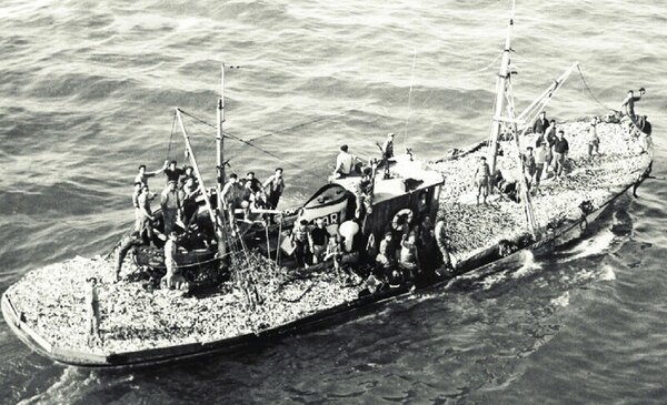 Lancamento do livro "Lacos e Redes"