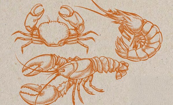 Degustar Matosinhos – Edicao Marisco