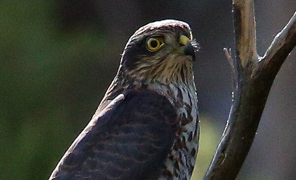 Roteiro da Mudanca em marco