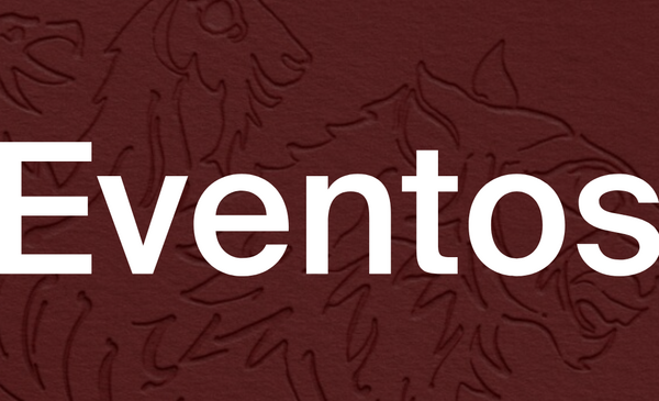 O que nao pode perder este fim de semana em Matosinhos