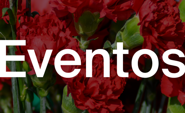 O que nao pode perder este fim de semana em Matosinhos