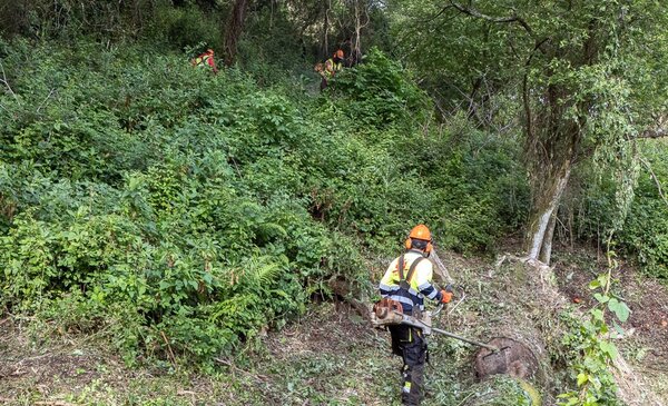 Matosinhos reforca prevencao de incendios