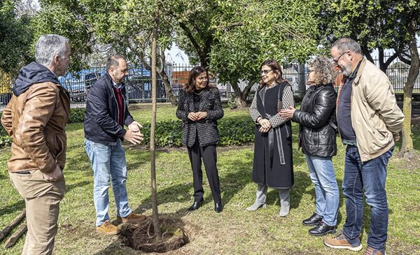 Rolhas de cortica trocadas por arvores