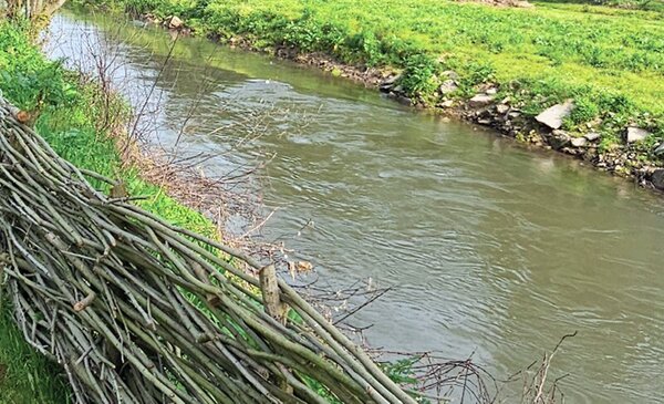 “Reviver o Leca”