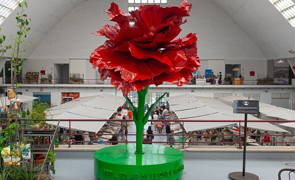 25 de Abril no Mercado de Matosinhos