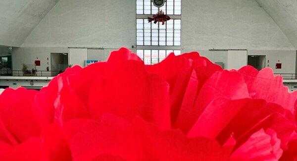 dest_mercado_vestido_abril