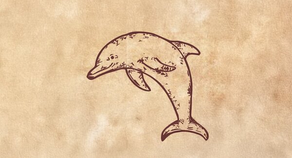 dest_feira_dos_golfinhos