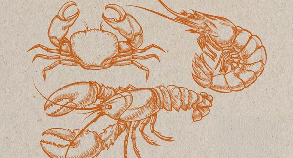 dest_degustar_matosinhos_marisco