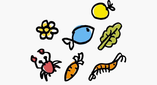 dest_not_frescos_mercados