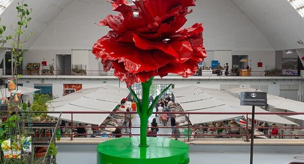 dest_not_25abril_mercado