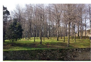 quinta da concei&ccedil;&atilde;o