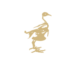 icons_muma-08_E_goncalves_zarco