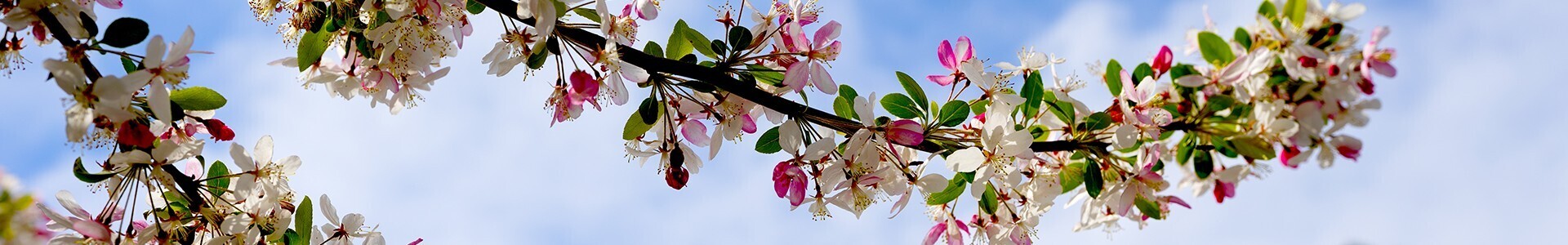 imagem_educacao_ambiental_1_2500_2500