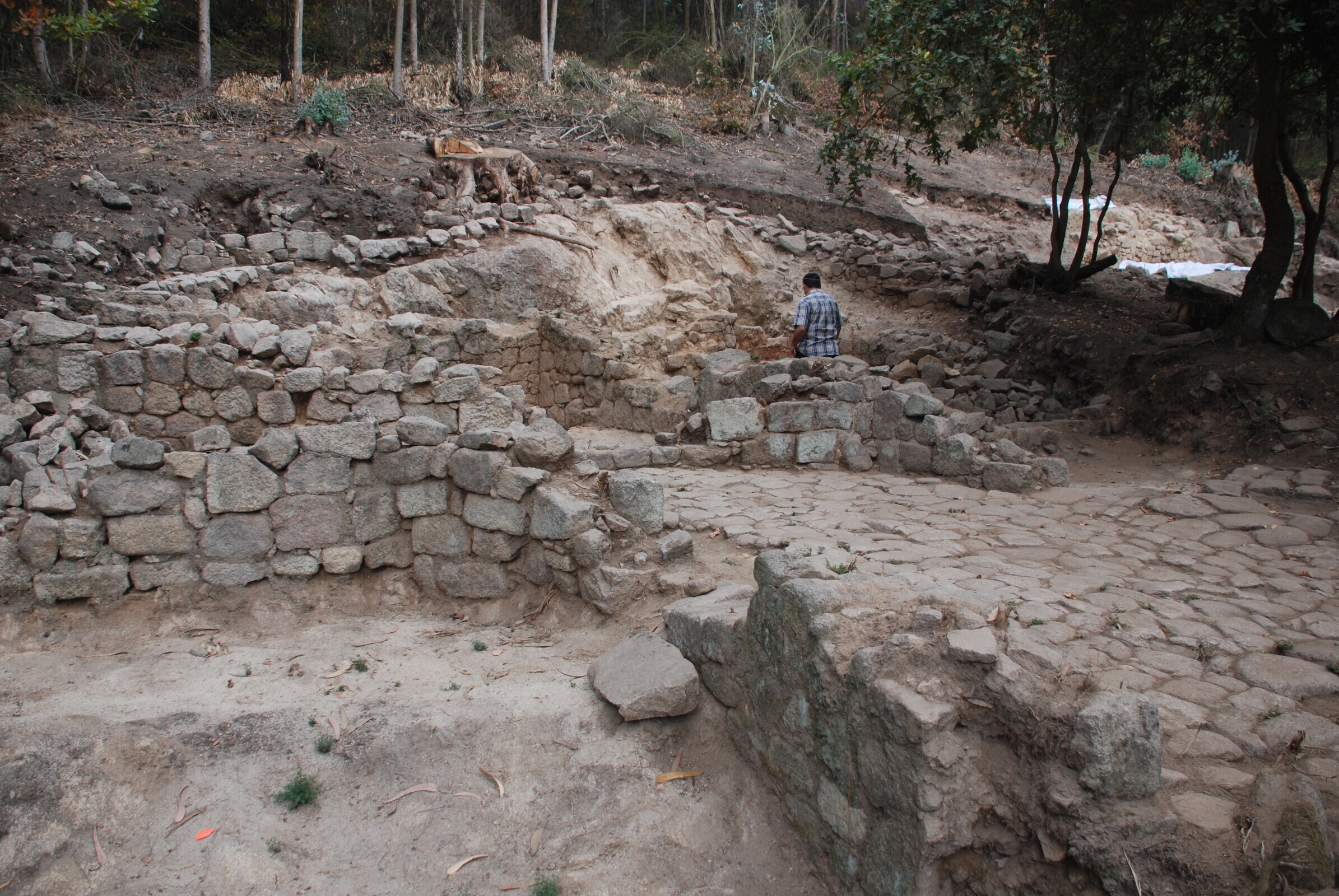 Castro de Guif&otilde;es