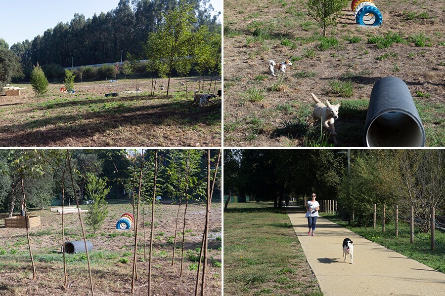 Parque Canino de Picoutos