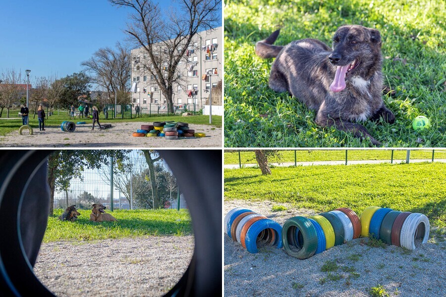 Parque Canino do Seixo