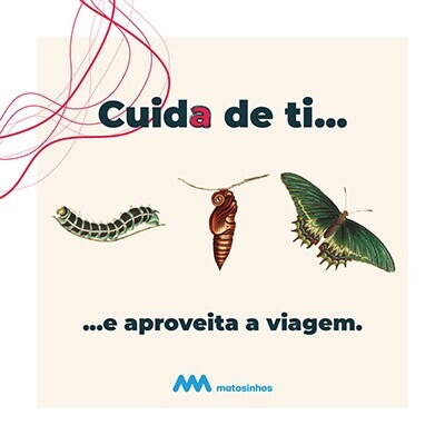 Estilos de Vida Saud&aacute;veis