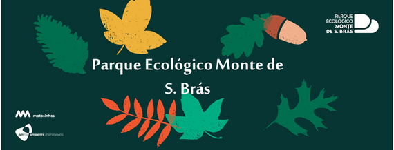 Template_PEMSB_header_frase