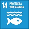 ODS 14