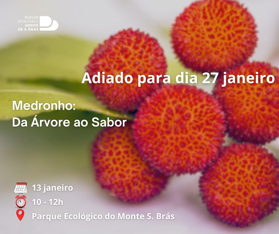 Medronho
