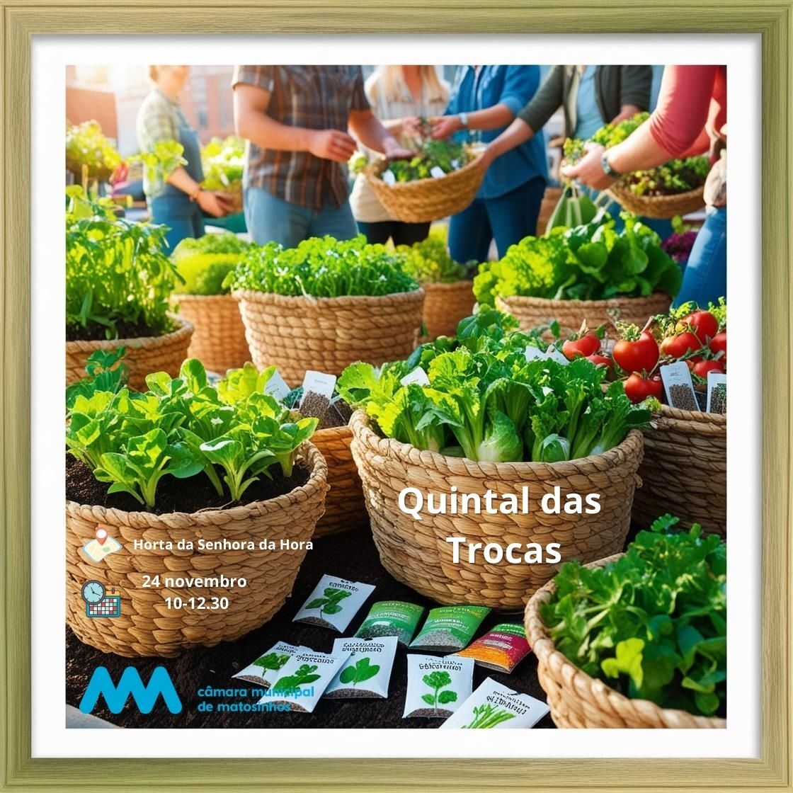 Quintal das trocas