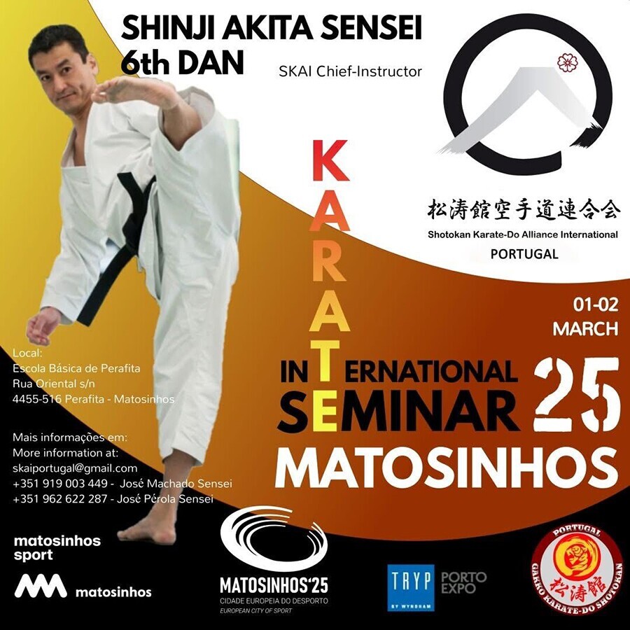 Semin&aacute;rio Internacional SKAI