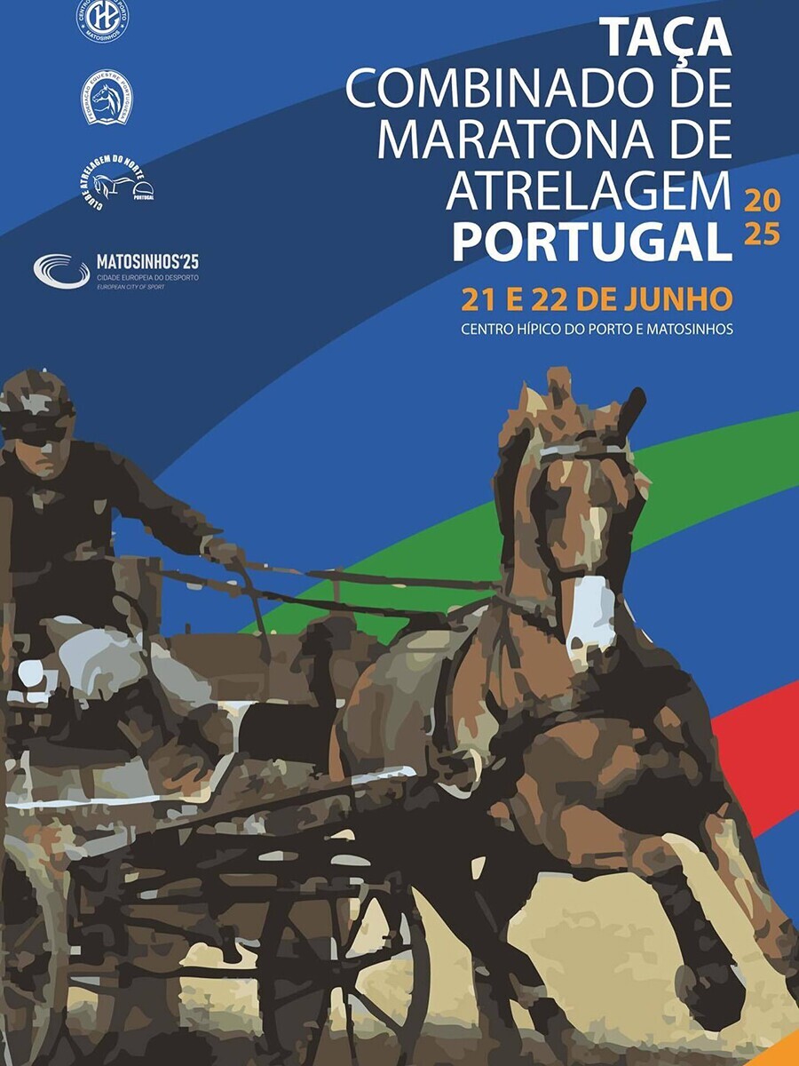 Combinado de Maratona de Atrelagem