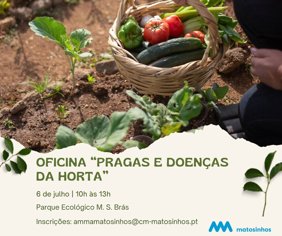 "Pragas e Doen&ccedil;as da Horta"