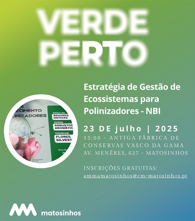 Polinizadores - NBI