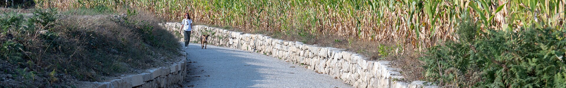 projetos e iniciativas