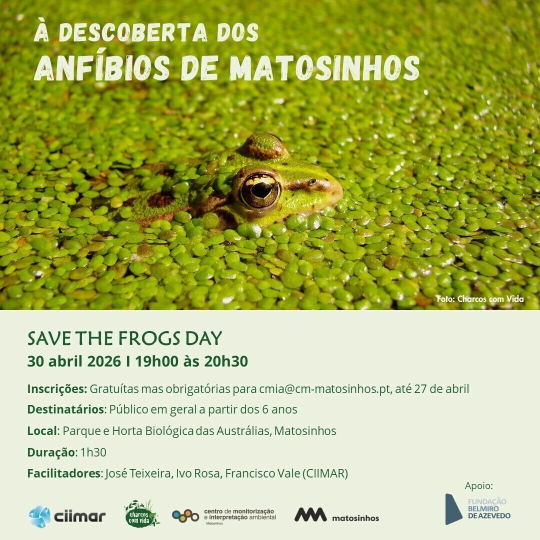 evento_save_the_frogs_day_1_2500_2500