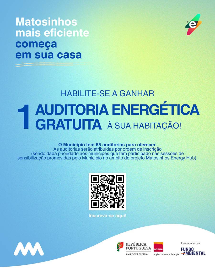 65 auditorias