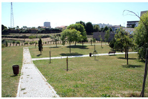 Soneto Ecol&oacute;gico 