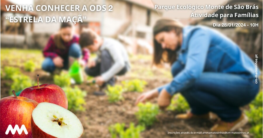 Venha conhecer a ODS 2