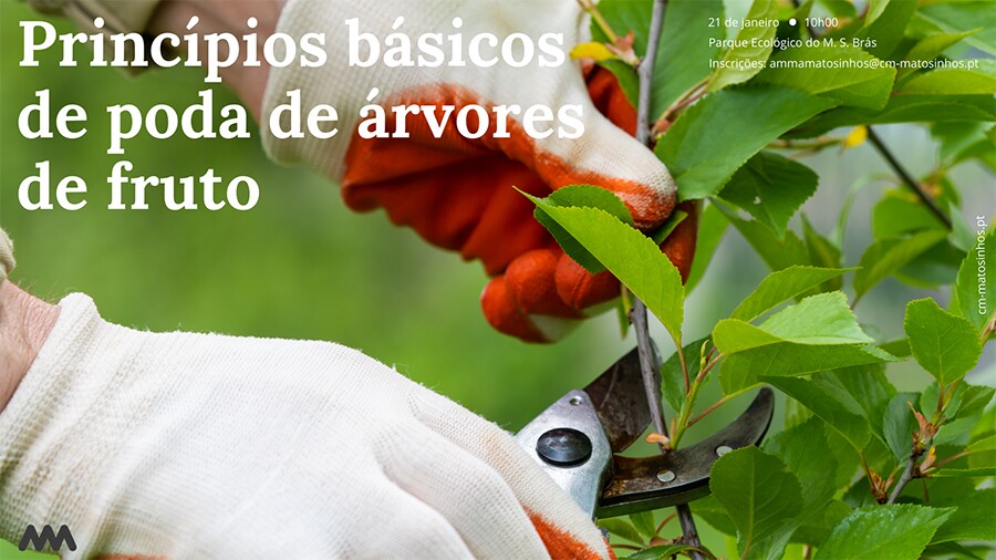 Poda de &Aacute;rvores de Fruto