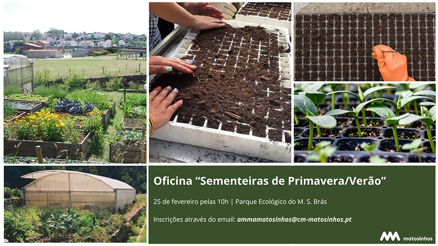 Sementeiras de Primavera / Ver&atilde;o