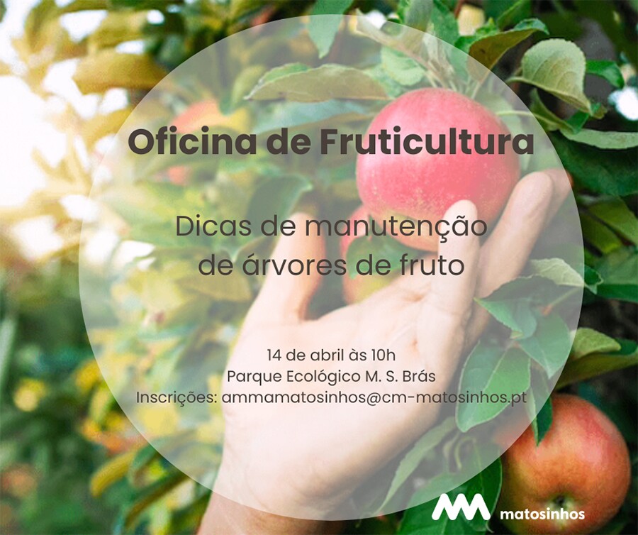 Oficina de Fruticultura