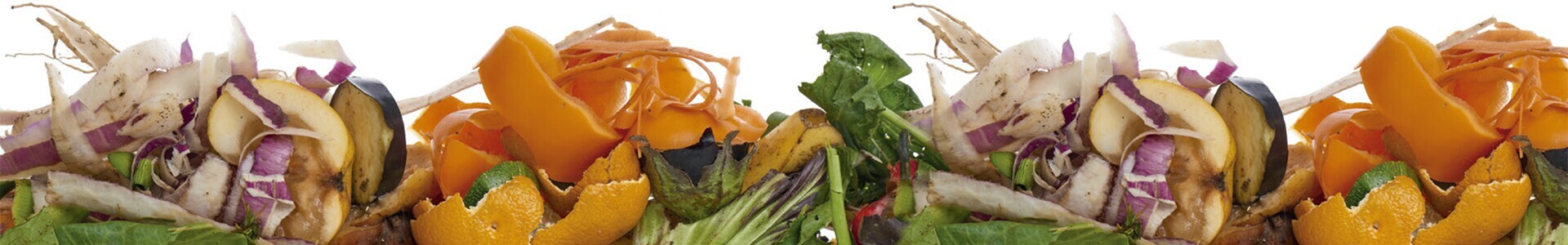 top_residuos_alimentares_1_2500_2500