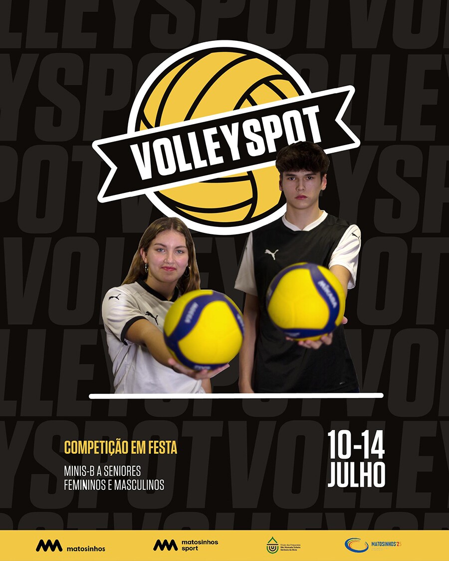 Volleyspot