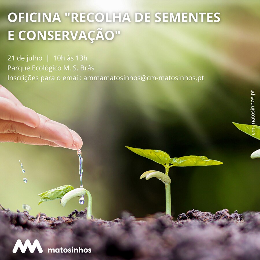 Recolha de Sementes e Conserva&ccedil;&atilde;o
