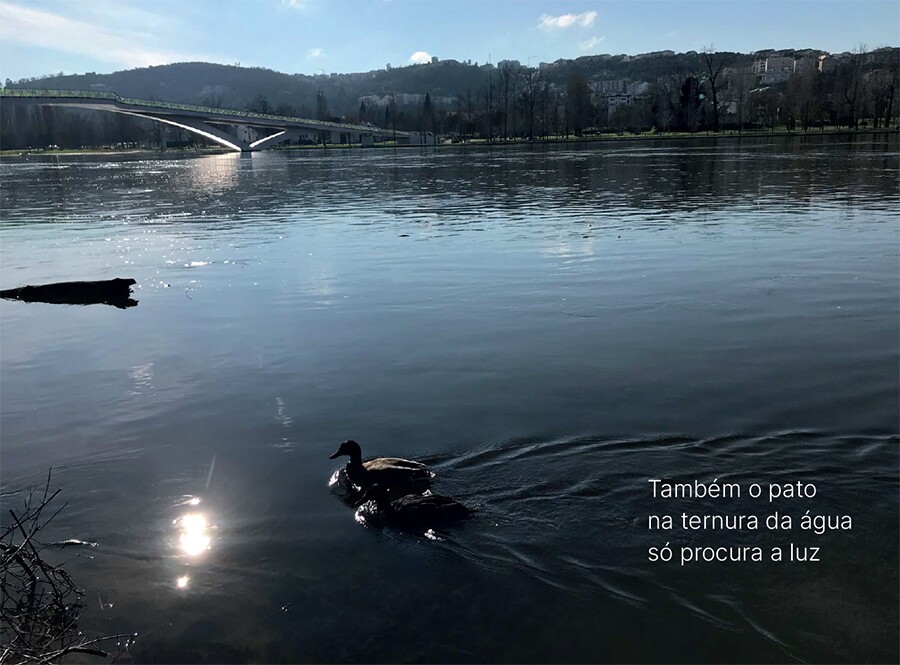 &ldquo;Paisagens: Interiores. Ensaios foto-po&eacute;ticos&rdquo;