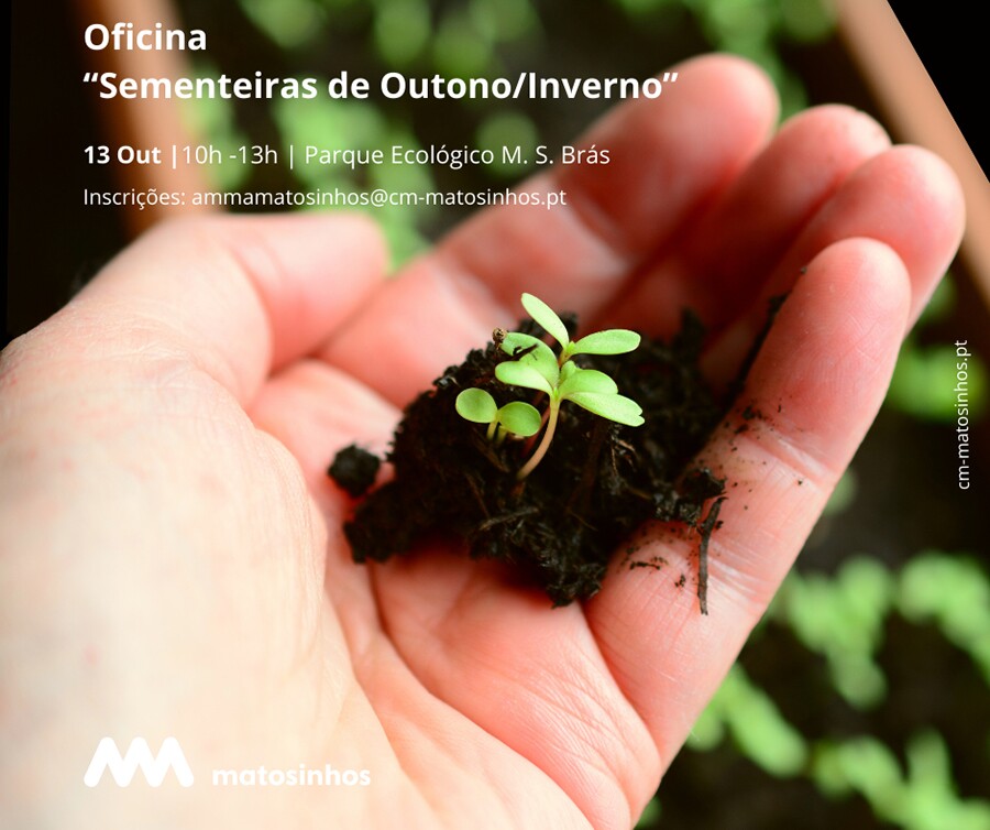 Sementeiras de Outono / Inverno