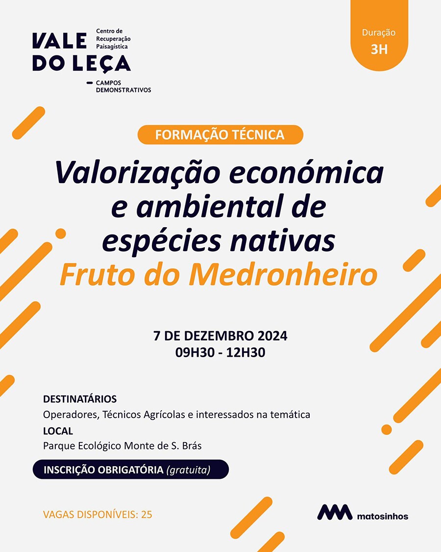 Fruto do Medronheiro