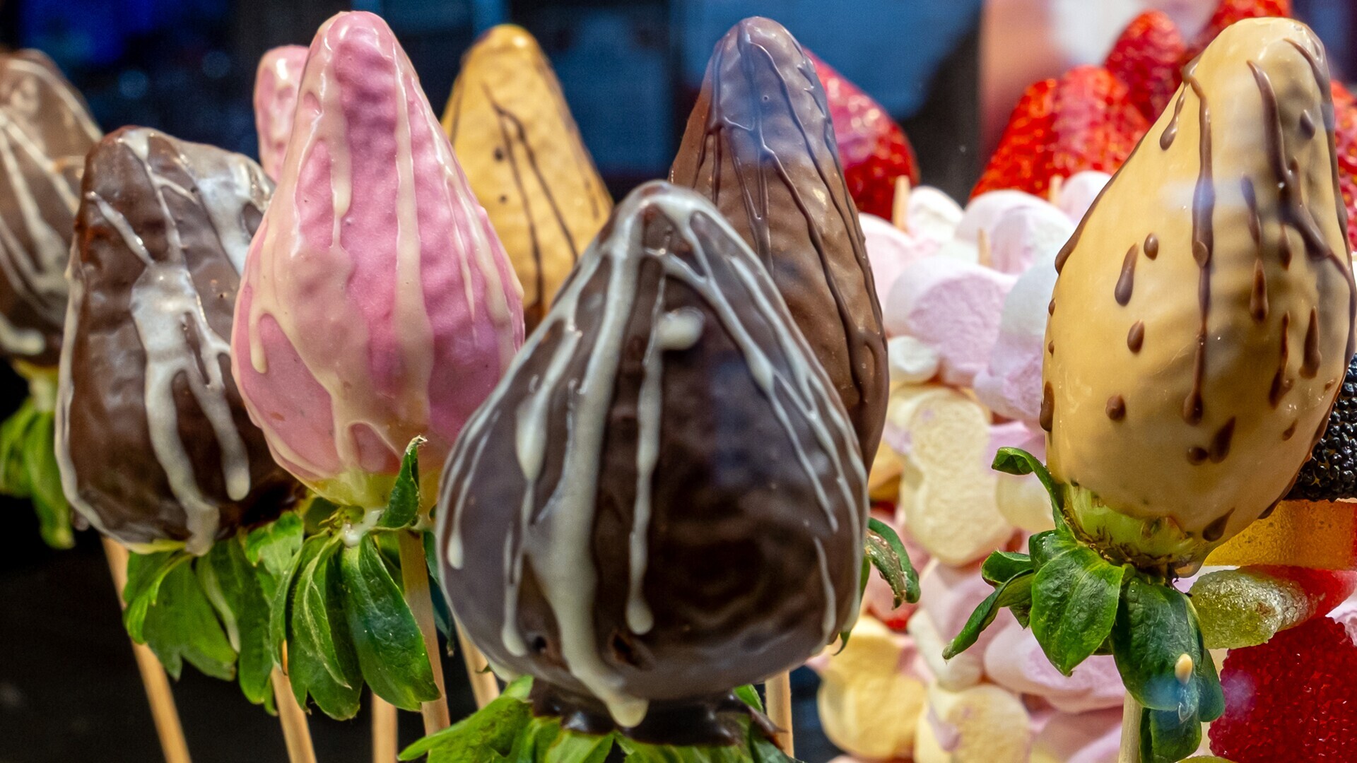 Festa do Chocolate 3