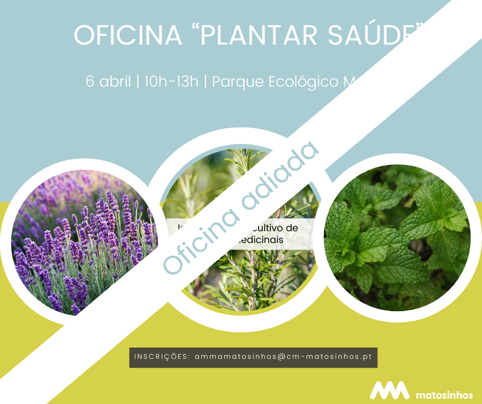 "Plantar Sa&uacute;de"