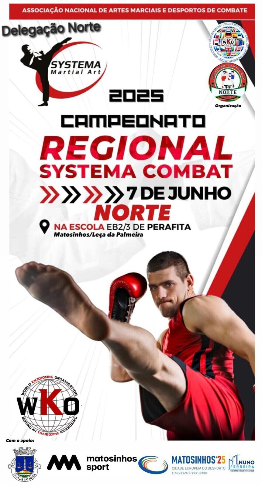Systema Combat